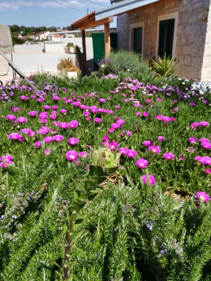 Kuca Za Odmor Maruska Βίλα Mali Drvenik Εξωτερικό φωτογραφία