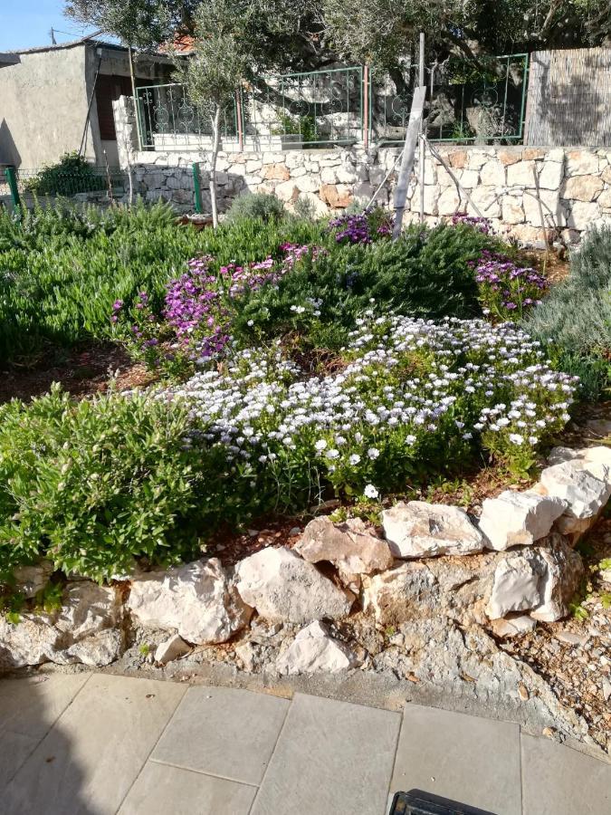 Kuca Za Odmor Maruska Βίλα Mali Drvenik Εξωτερικό φωτογραφία