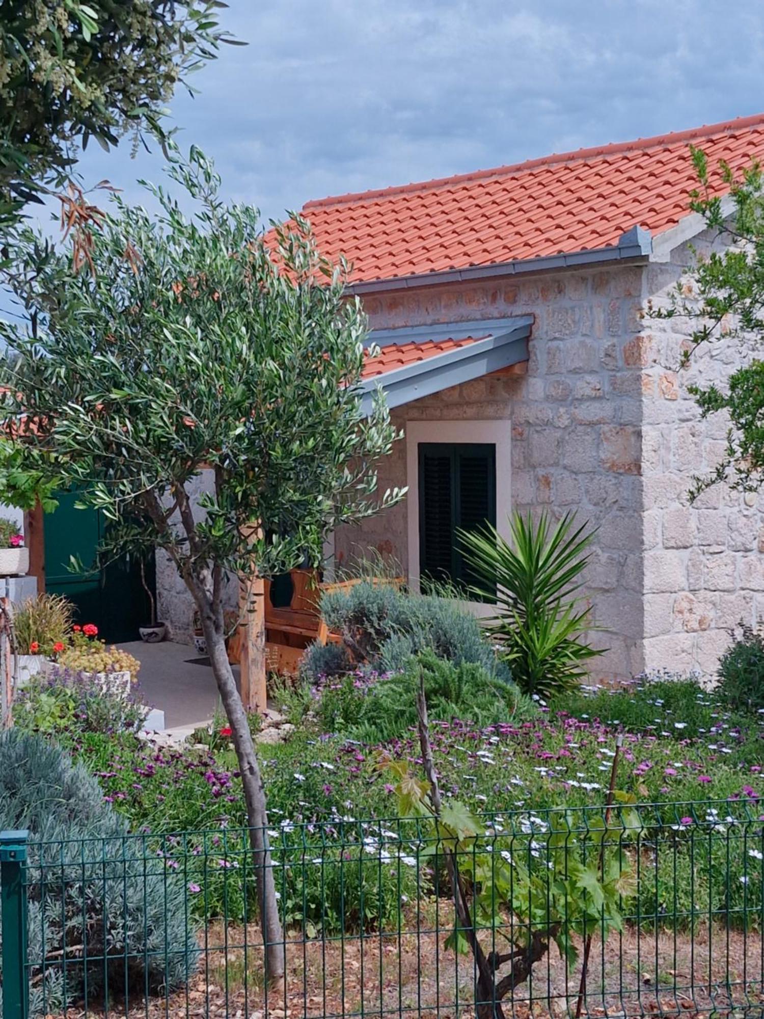 Kuca Za Odmor Maruska Βίλα Mali Drvenik Εξωτερικό φωτογραφία